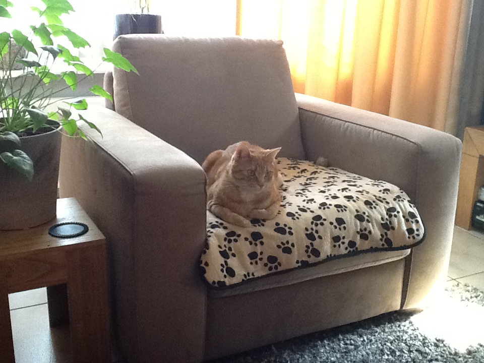 Karel