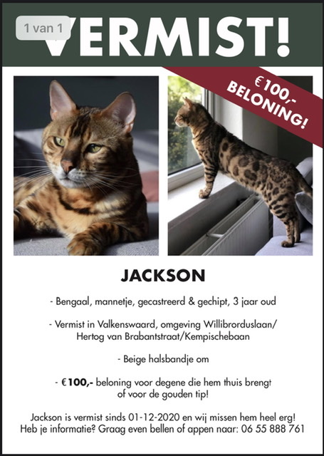 Jackson