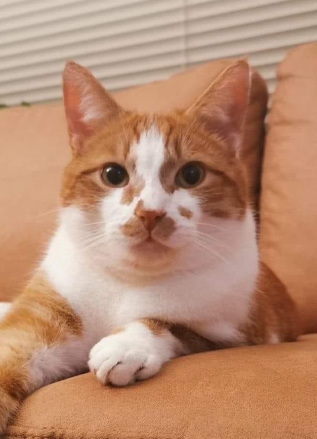 Fred