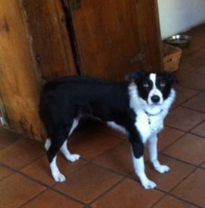 Lola