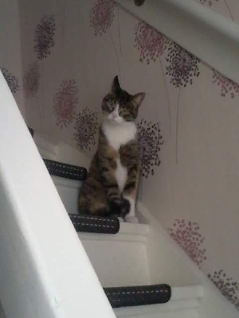 Abby