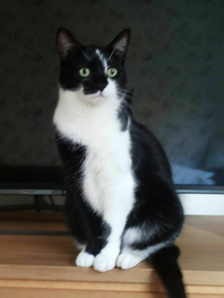Pip