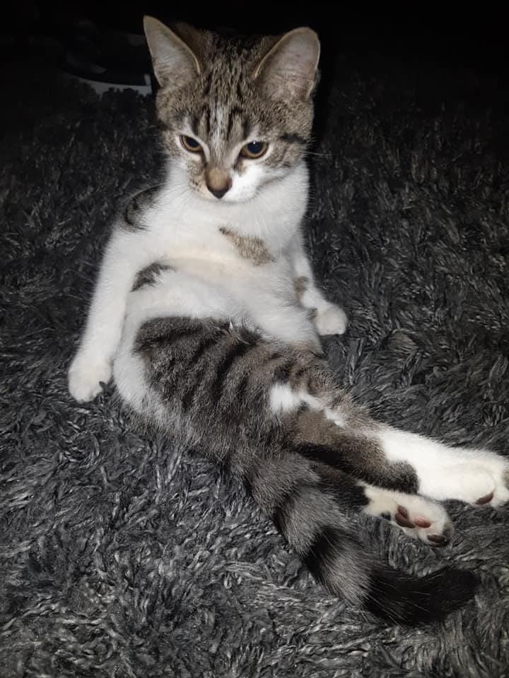 Coco